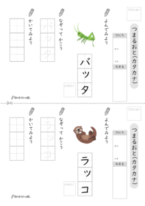 カタカナ促音_問題